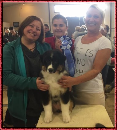 15977430_10206683580367730_3566986248137480349_n