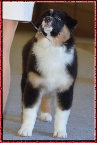 16003234_10206683182597786_4864058679652099556_n