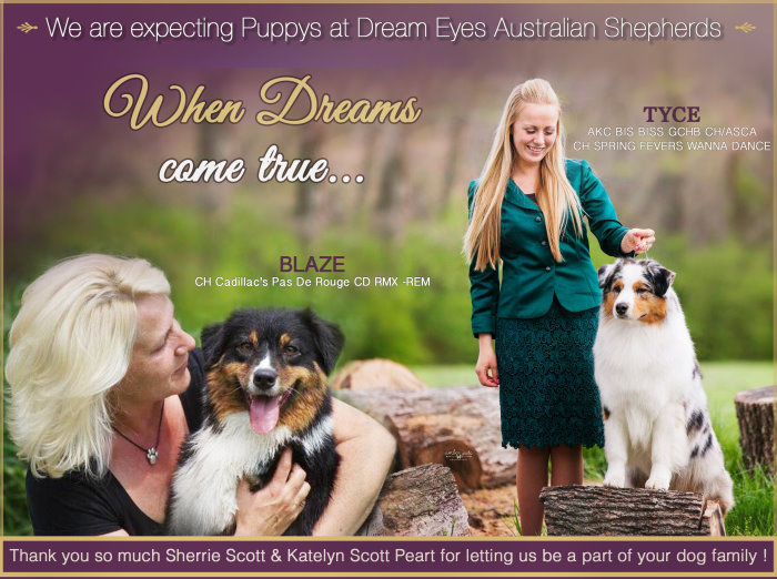 Magda Collage fertig